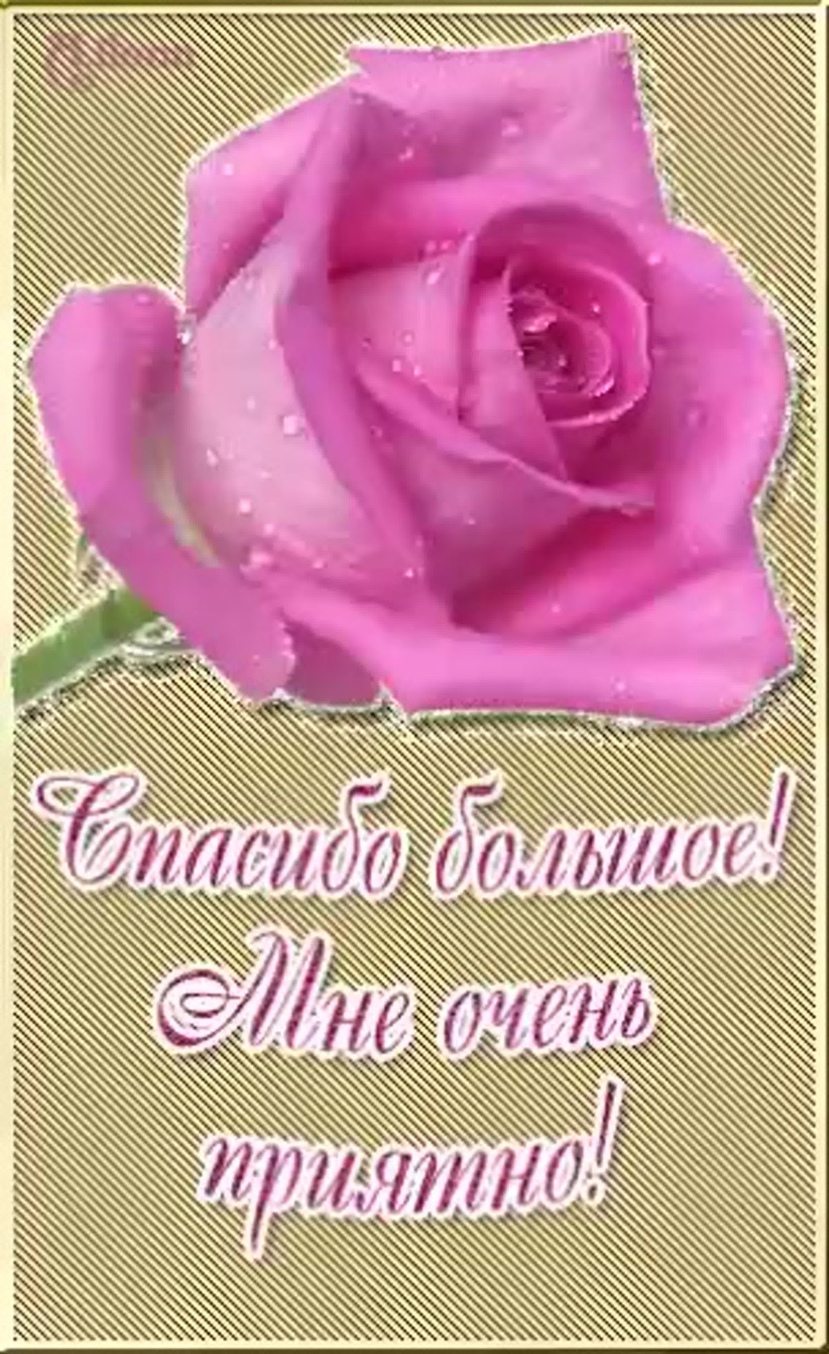 Спасибо очень приятно