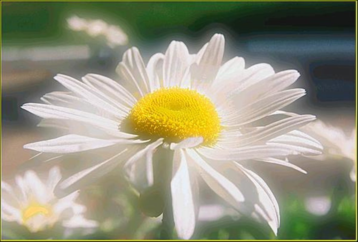 Позитивные Стикеры с добрым утром