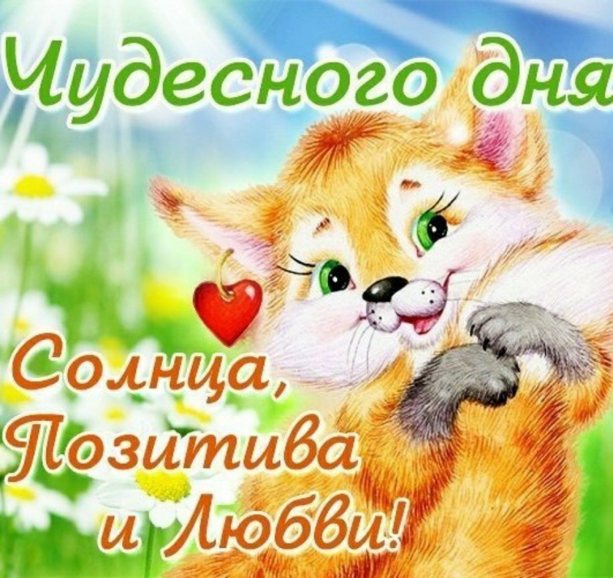 Чудесного дня