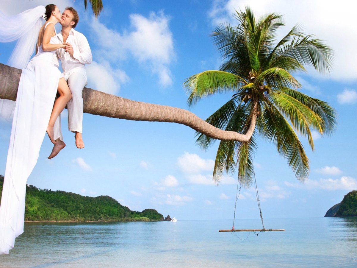 Свадьба акварельный рисунок