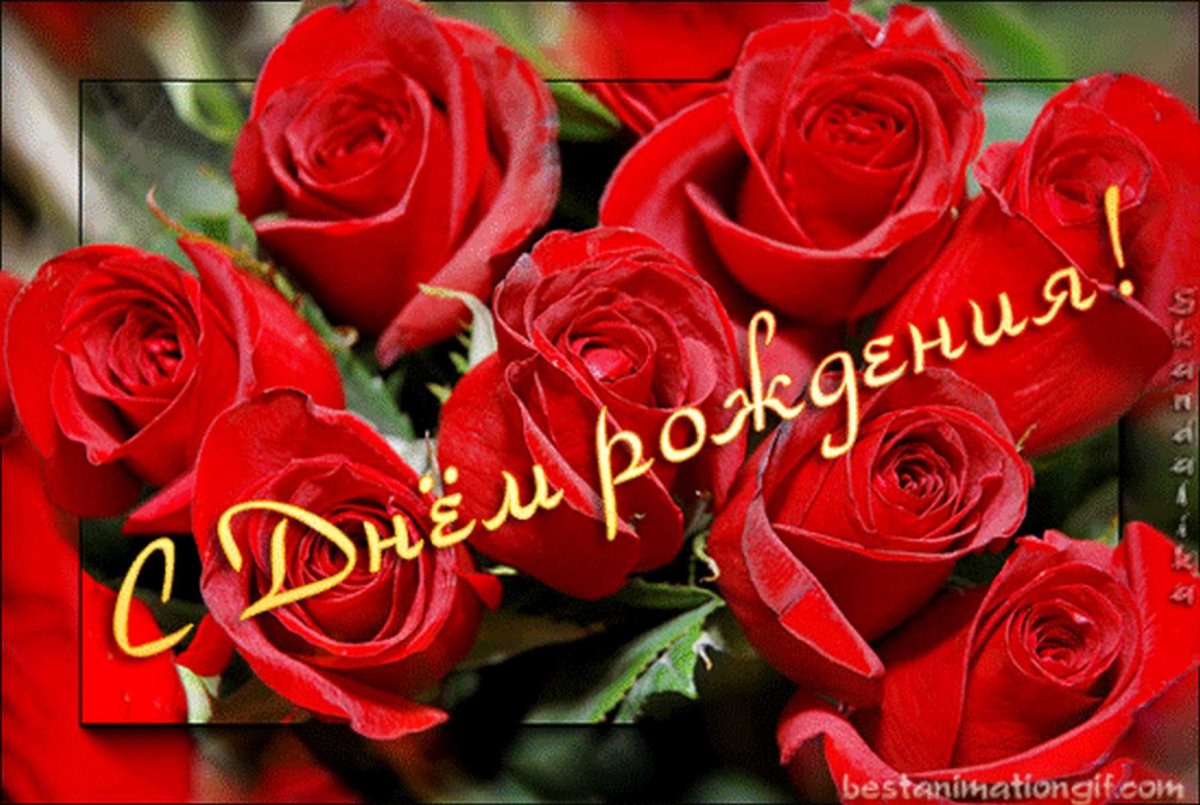 С днём рождения Наталья