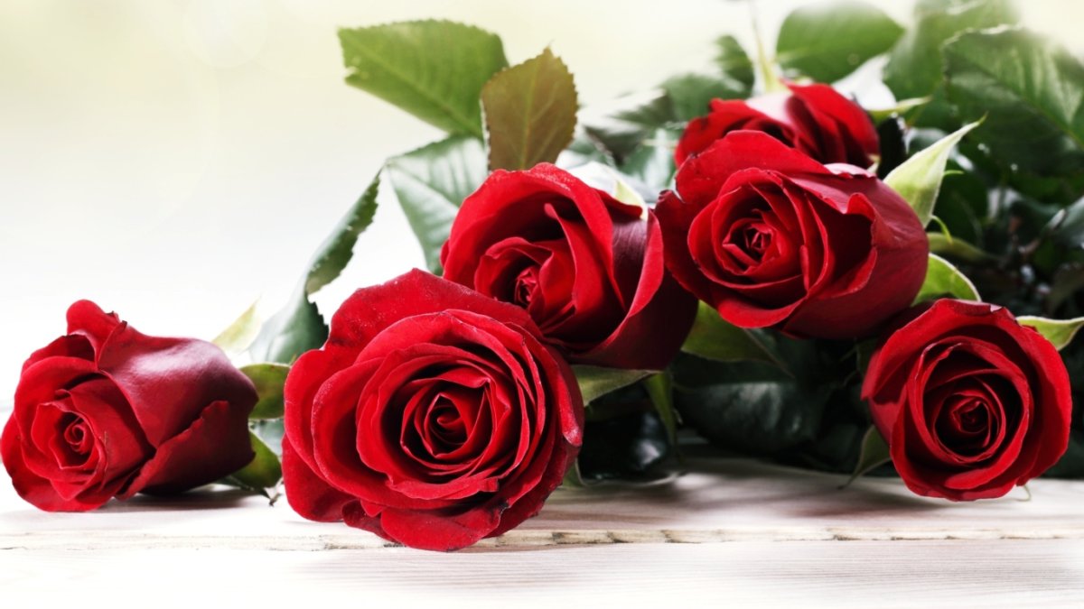 Стихи с днём рождения