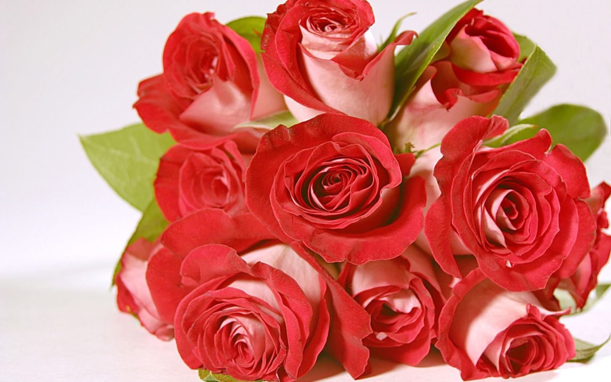 Светлана Ивановна с днем рождения