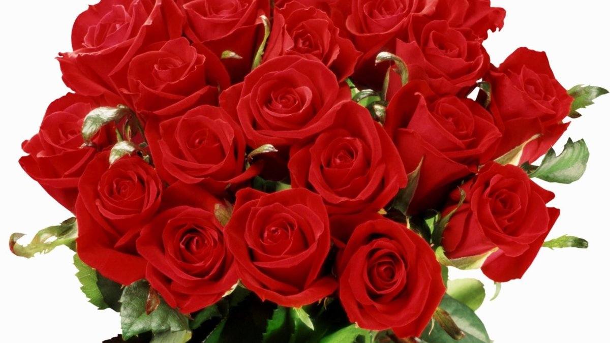 Открытки с розами