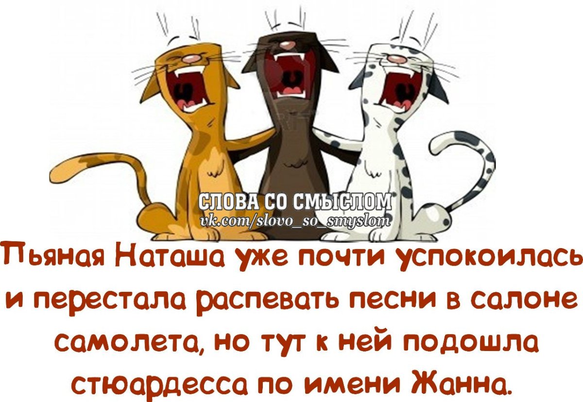 Смешные высказывания в картинках