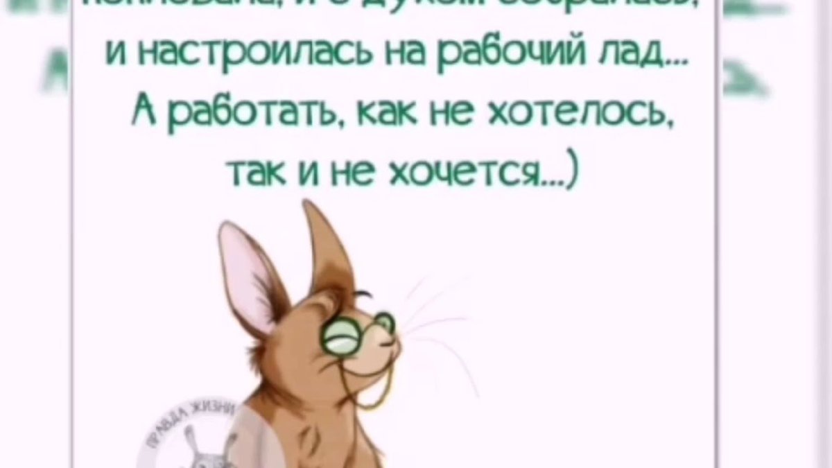 Смешные стишки для поднятия настроения