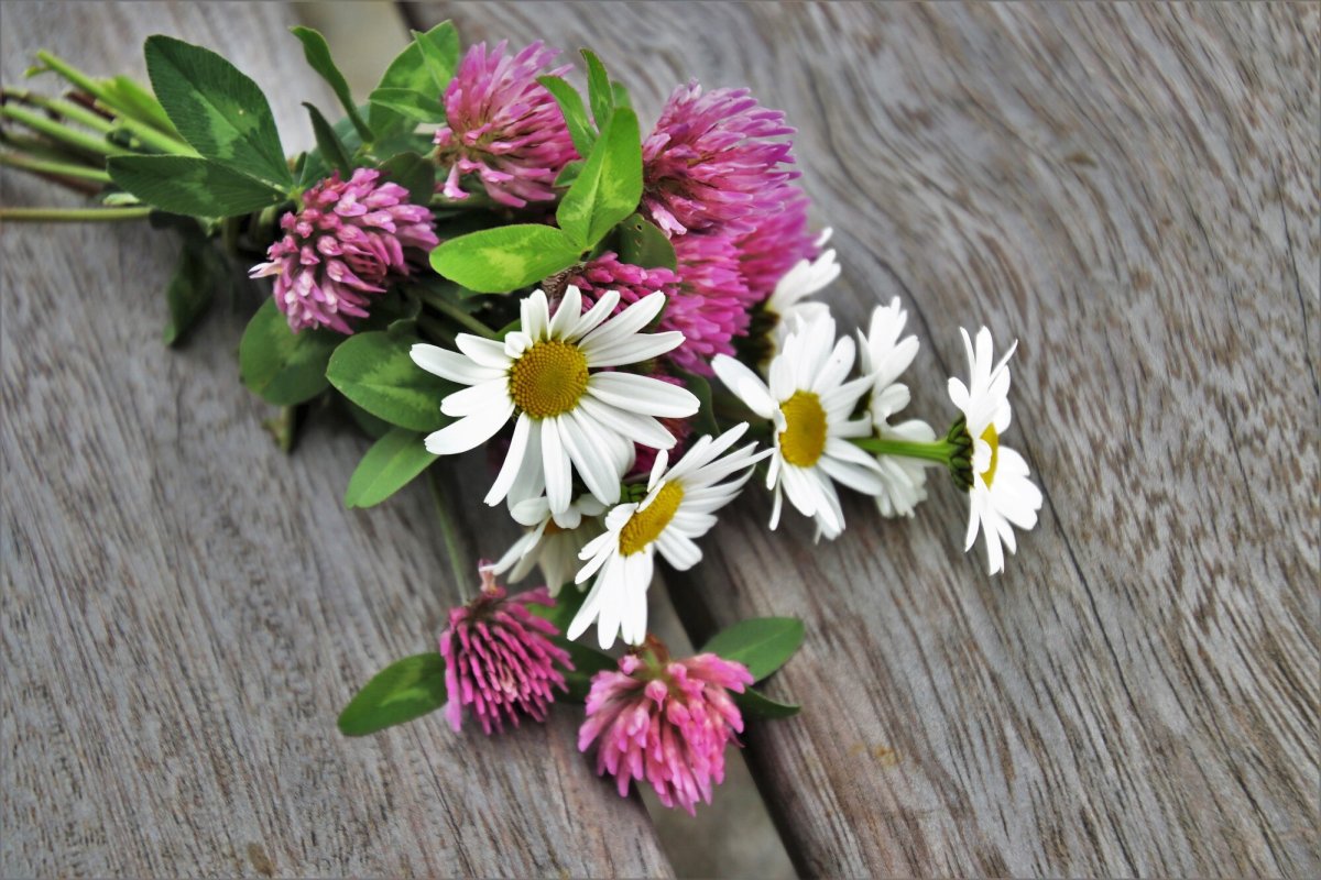 Букетик из клевера