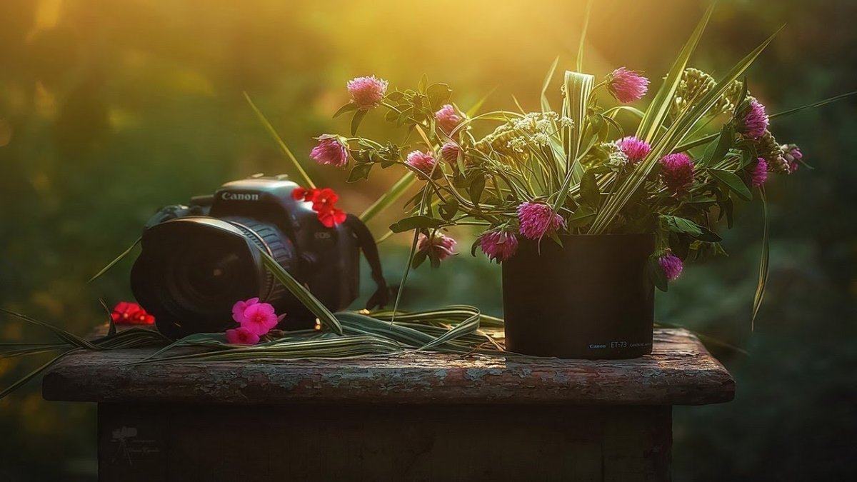 Натюрморт с фотоаппаратом и цветами