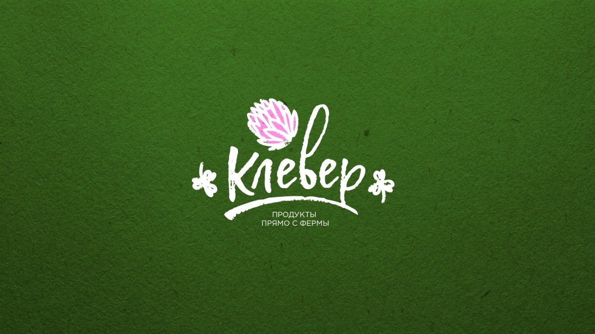 Клевер цветок логотип