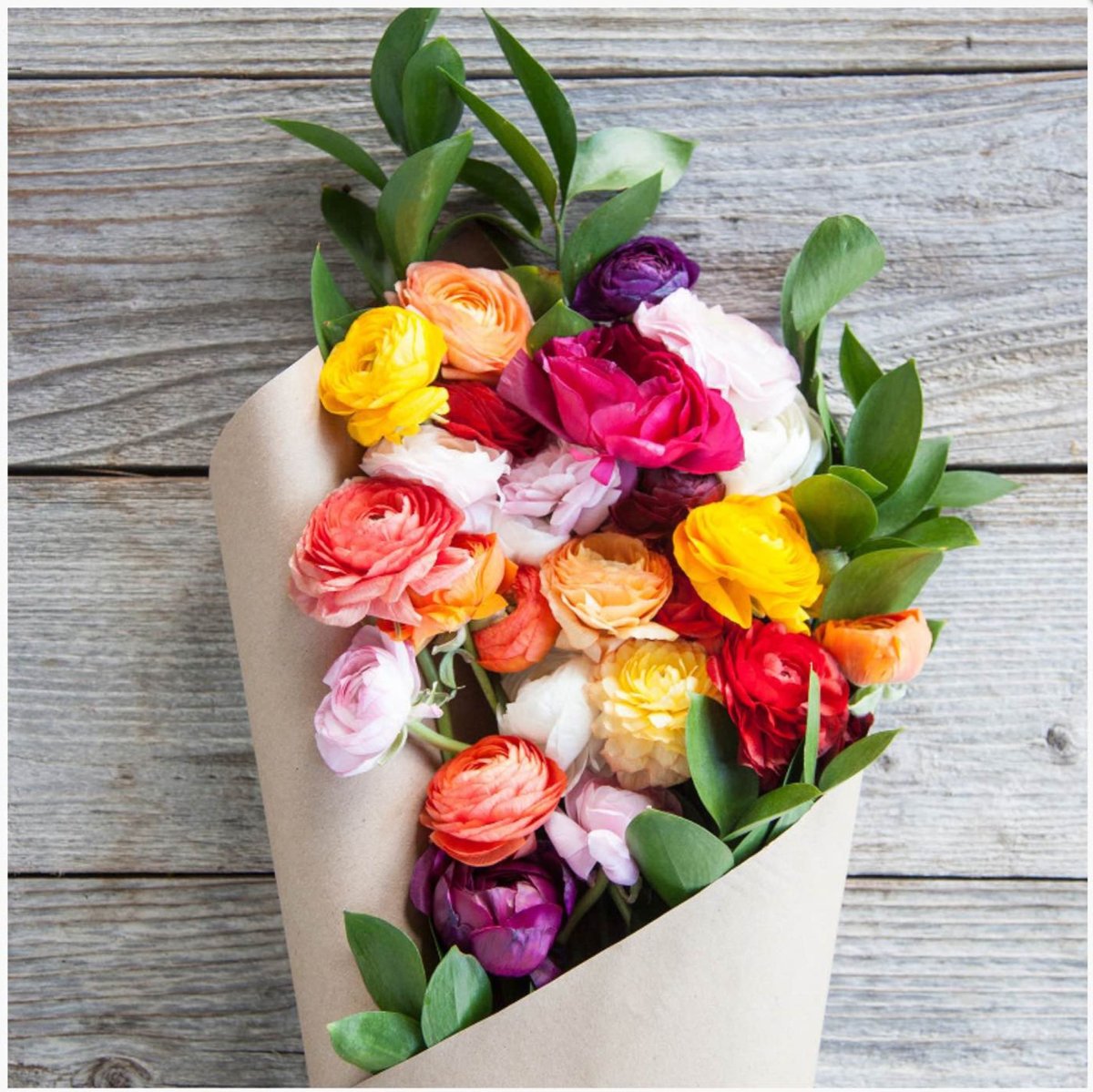 Гипсофила Монобукет