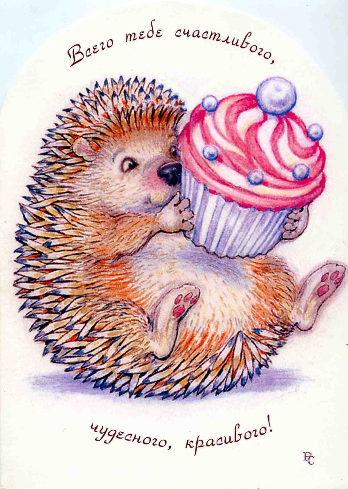 Инга Измайлова иллюстрации ежики