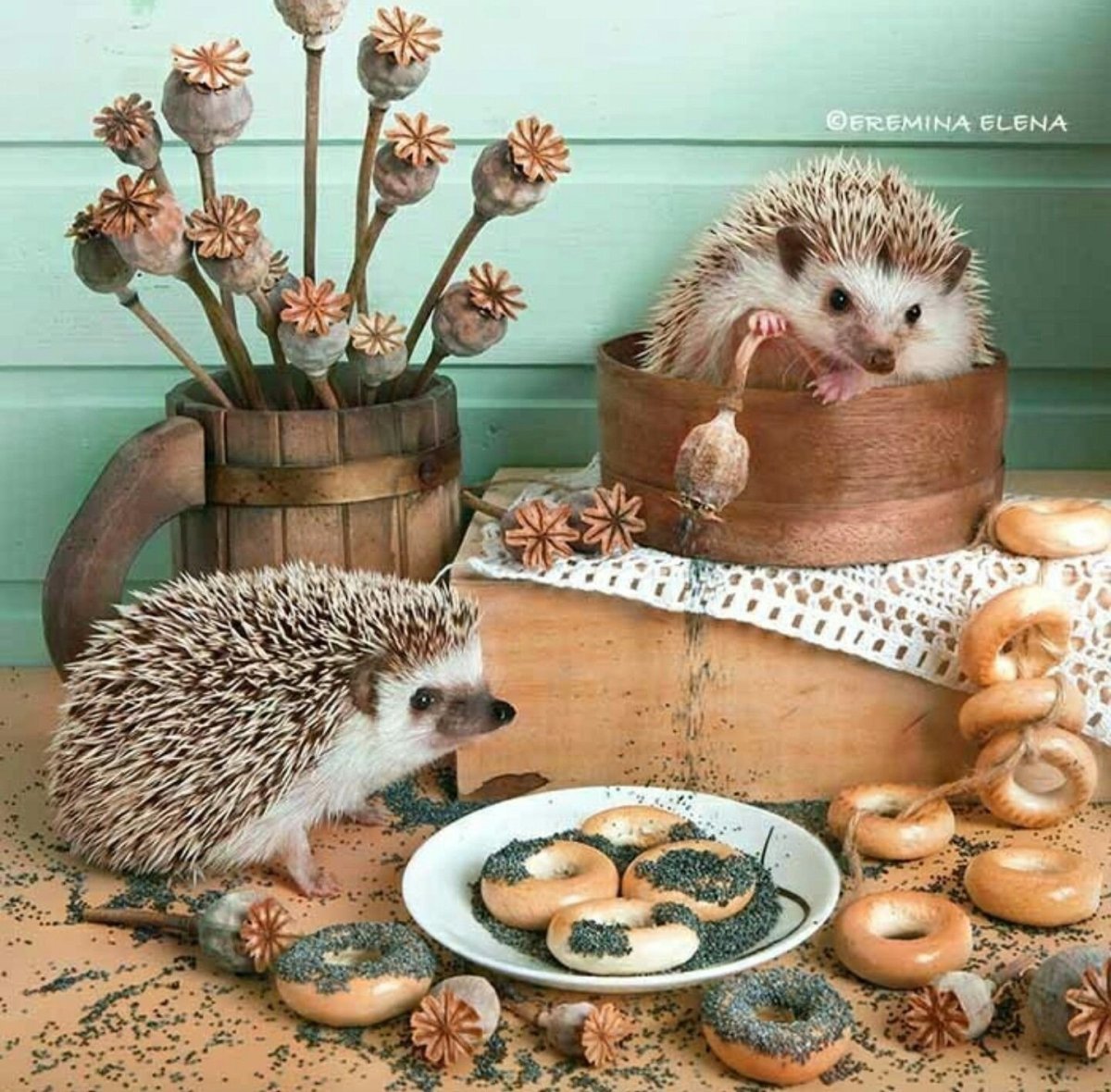 Открытки с ежиками с днем рождения