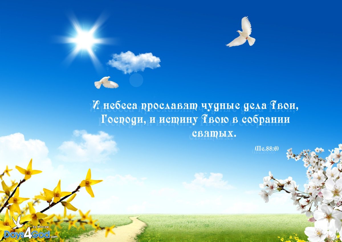 Библейские стихи