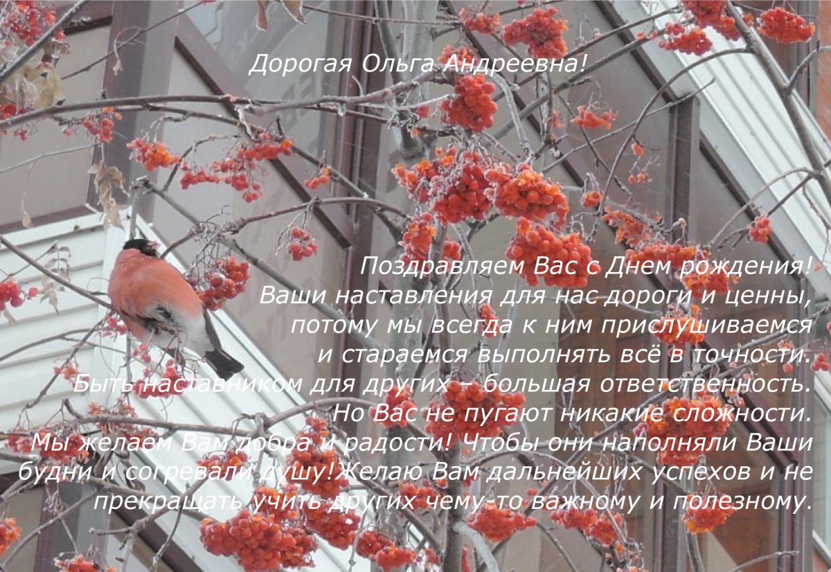 Дорогая Ольга Андреевна с днем рождения