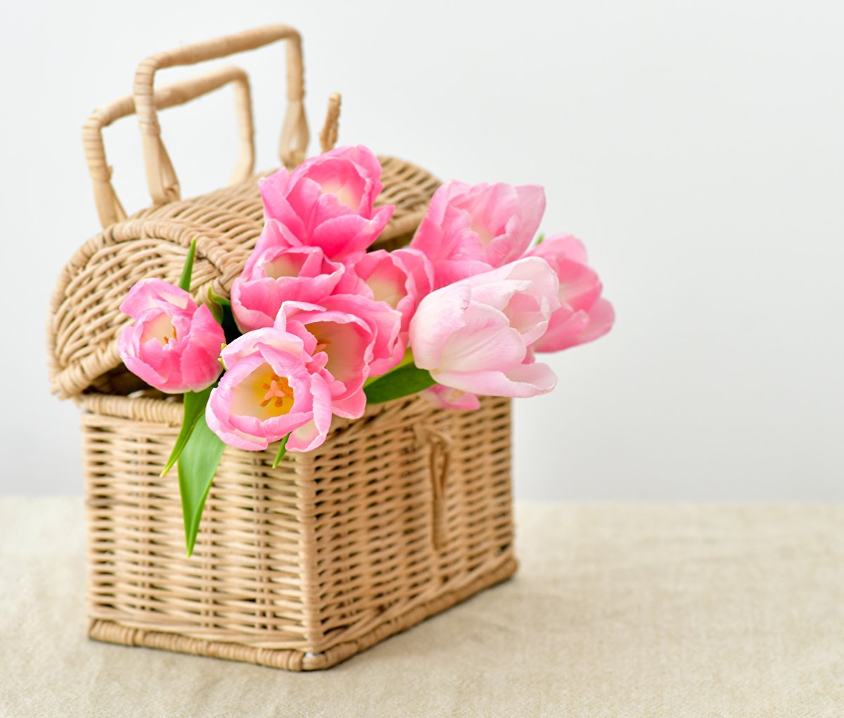 Красивые розовые цветы в корзине