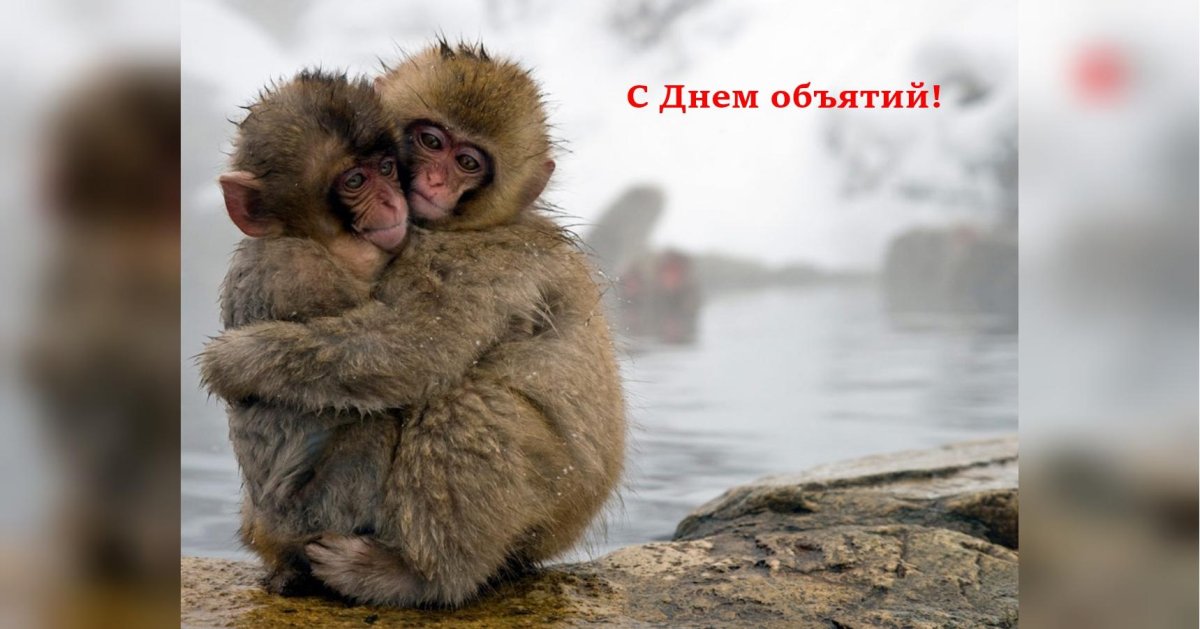 День объятий