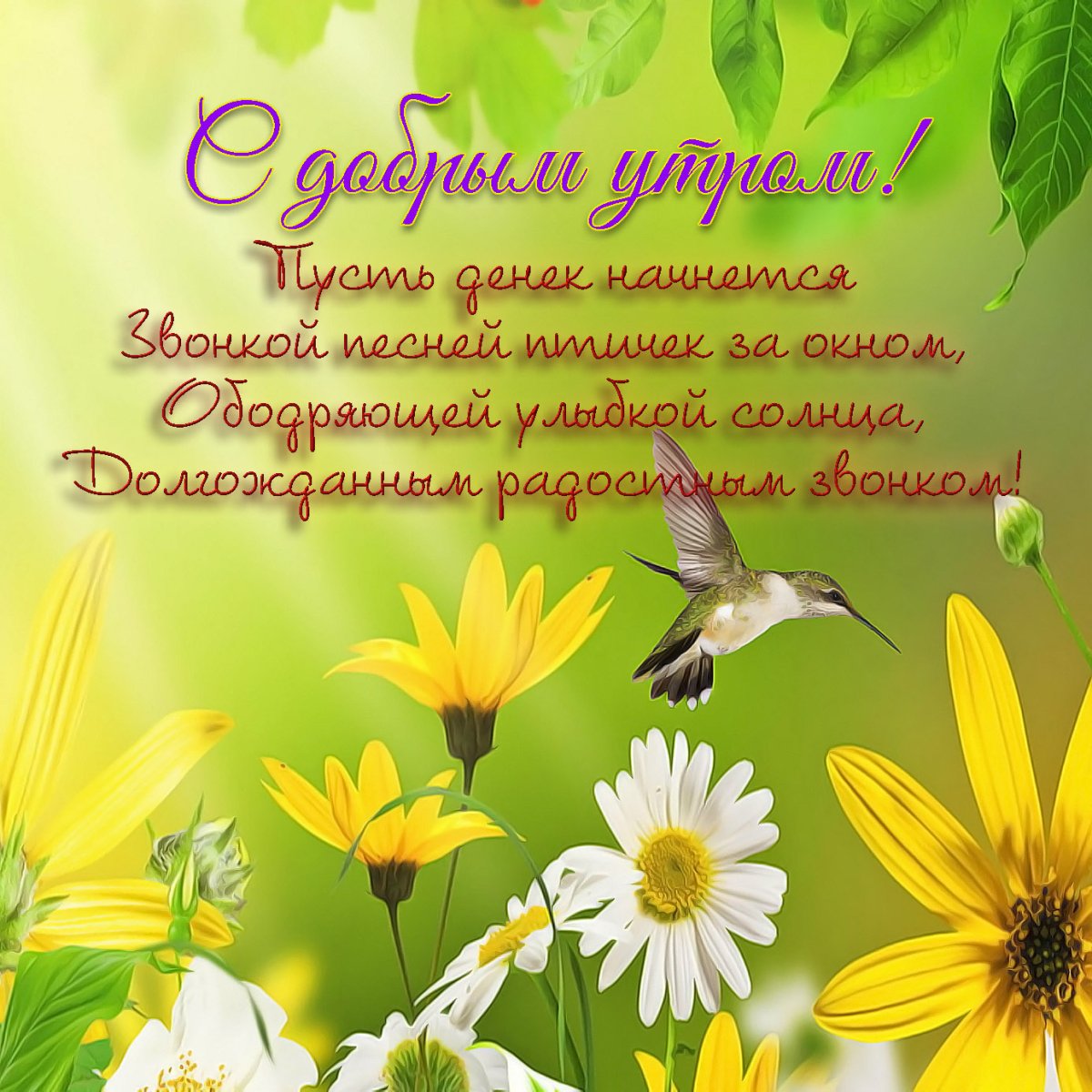 Пожелания с добрым утром с птичками