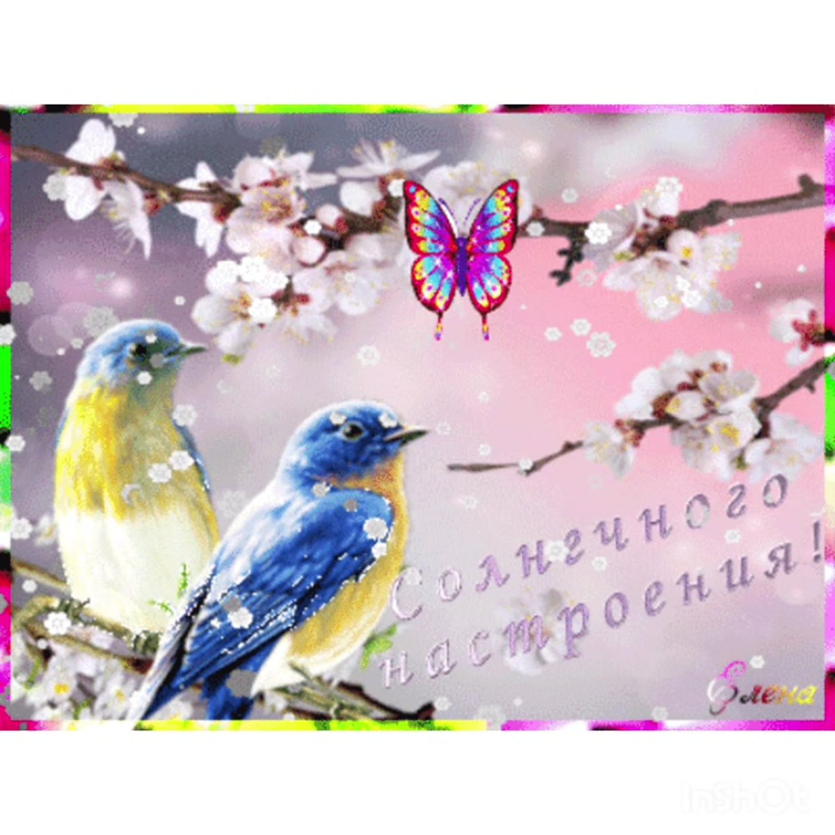 Солнечного весеннего настроения