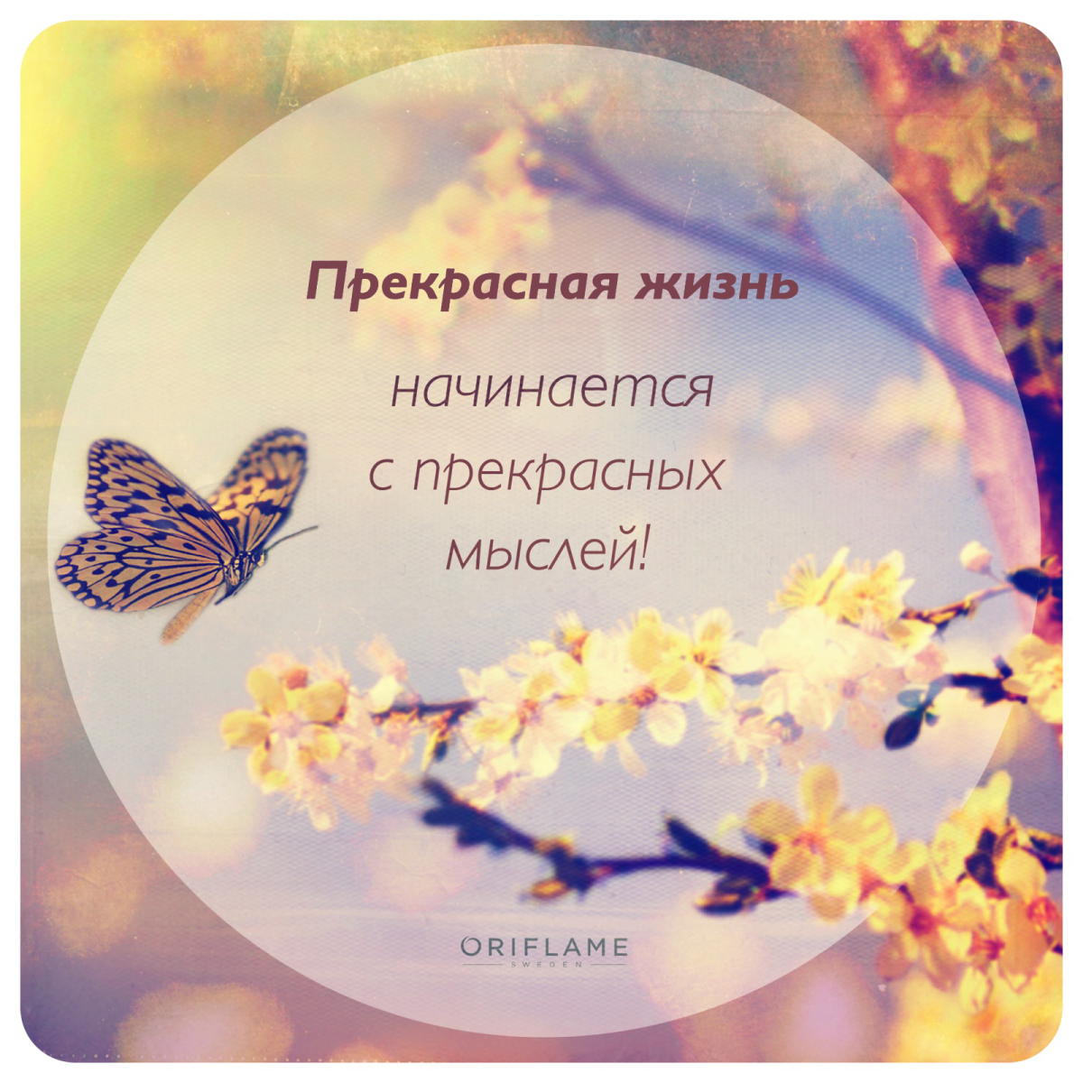 Доброго дня и позитивных мыслей