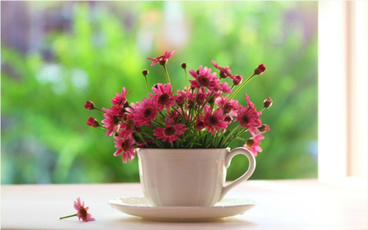 Открытка с добрым утром с мудростью