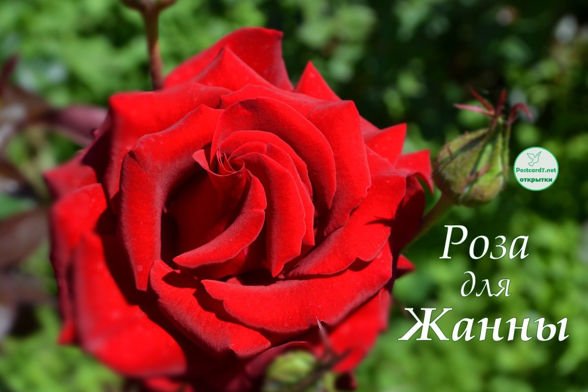 С днем рождения