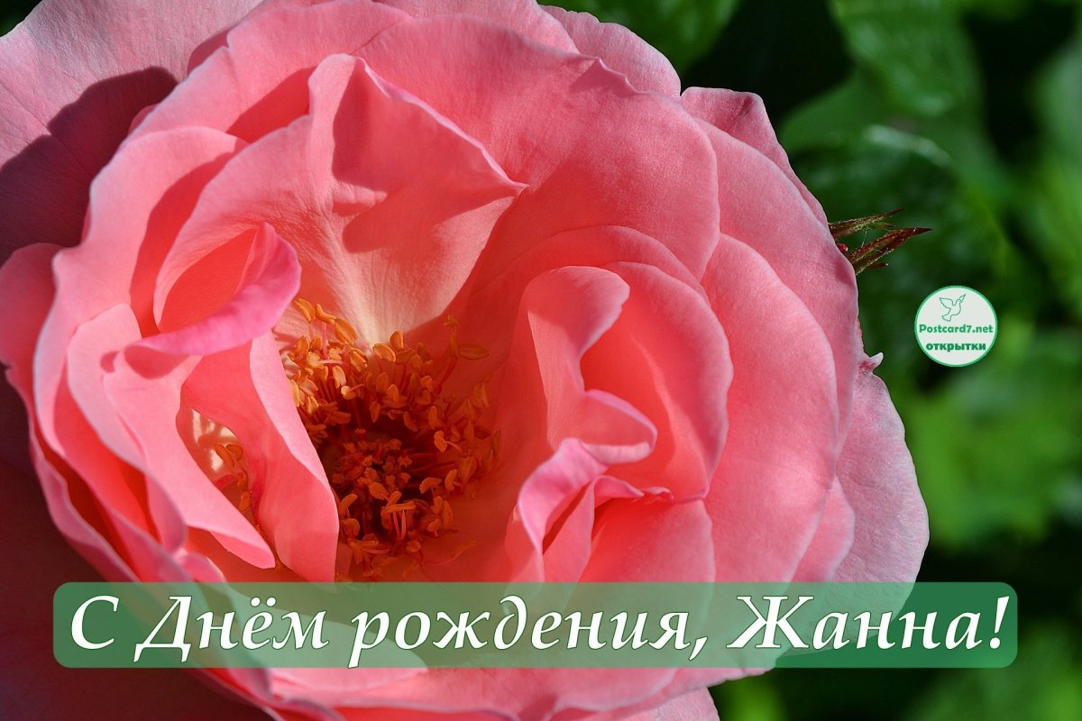 Цветы для мамы