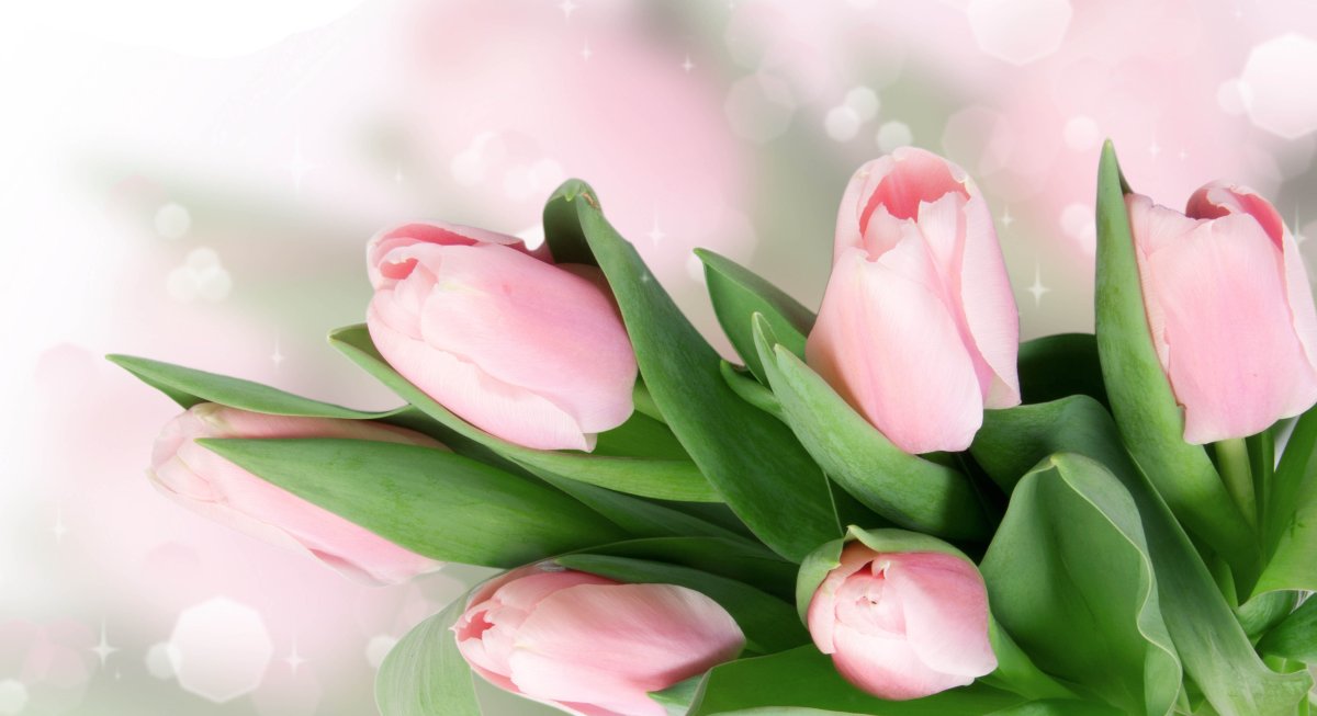 Стильные открытки с днем рождения