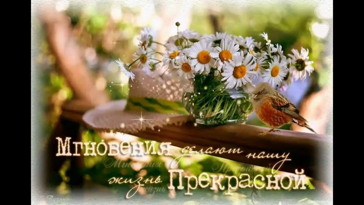 Радостных дней и прекрасных мгновений