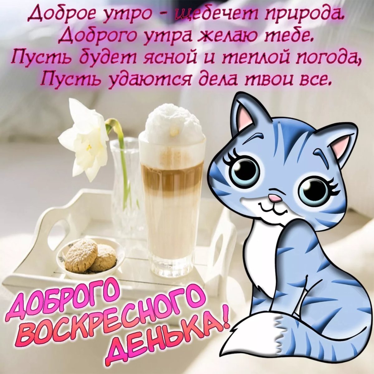 Веселые пожелания доброго утра