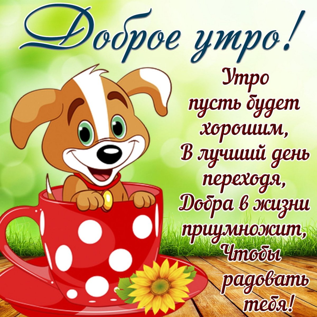 Доброе субботнее утро