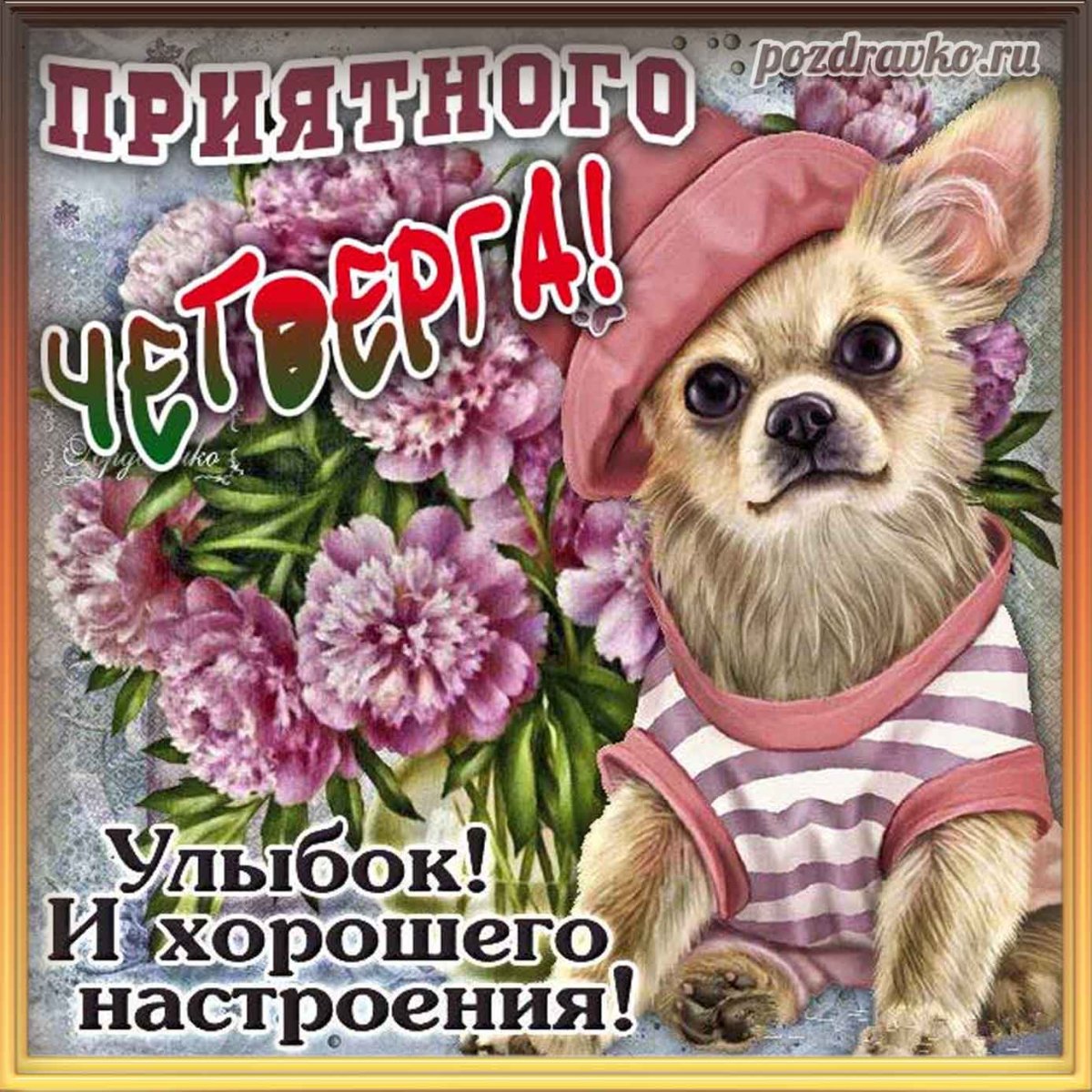 Хорошего четверга с собаками