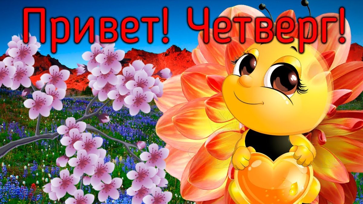 Прекрасного четверга