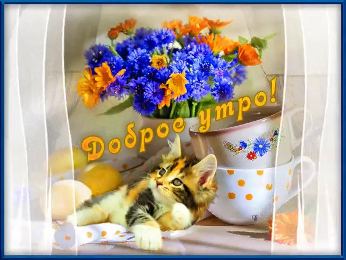 Открытки с добрым утром и вечером