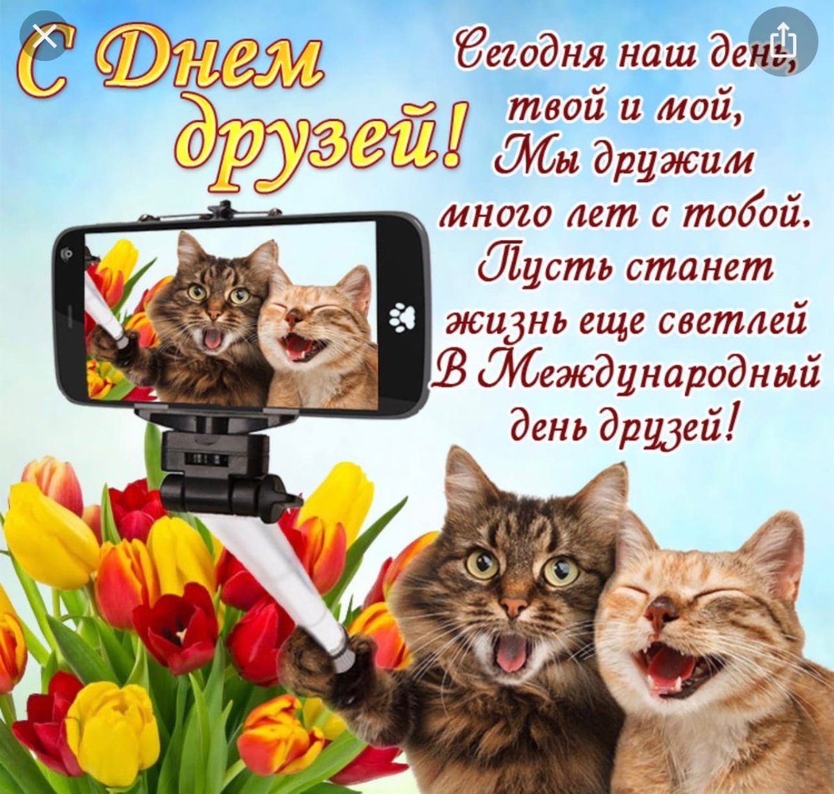 Открытки с благодарностью за поздравления