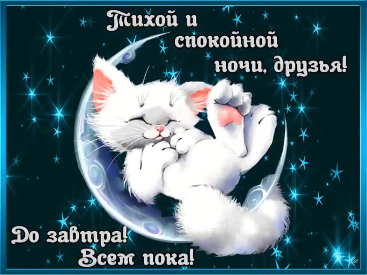 Спящие милые зверюшки