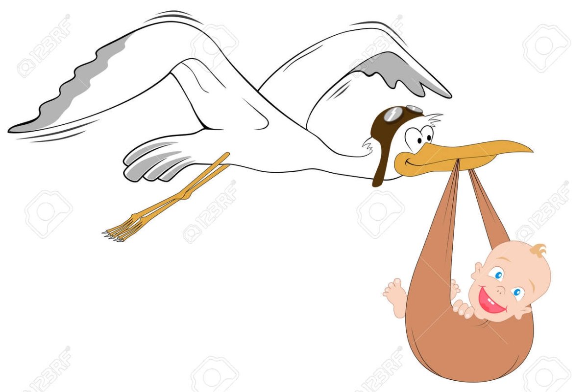 Аист с ребенком