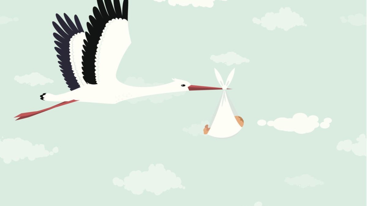 Аист с новорожденным