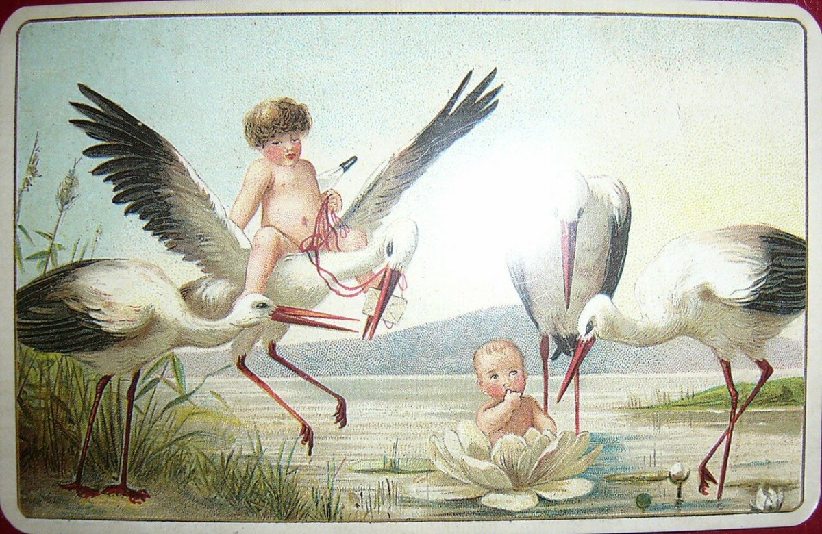 Рождение ребенка Аист