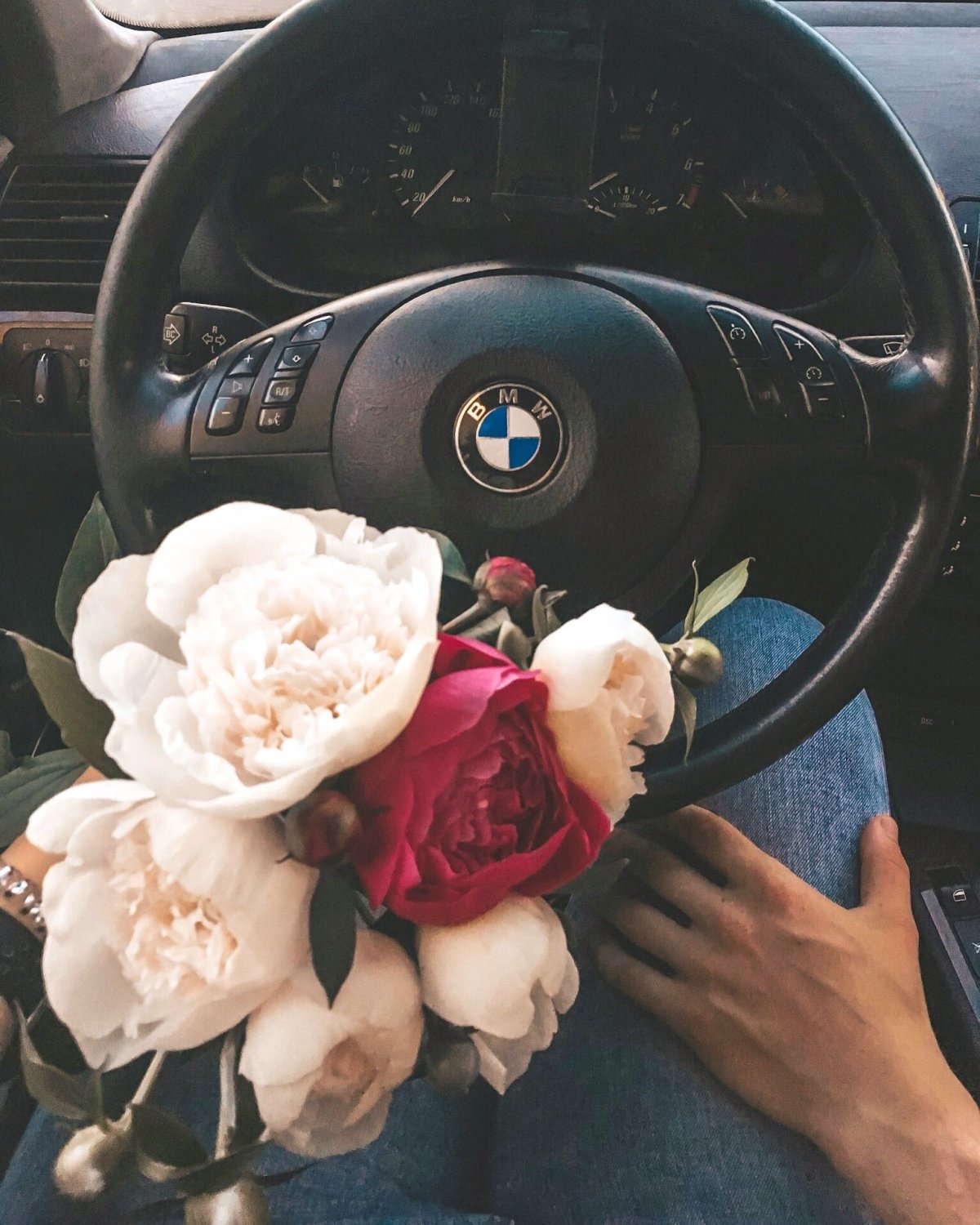 Пионы в машине