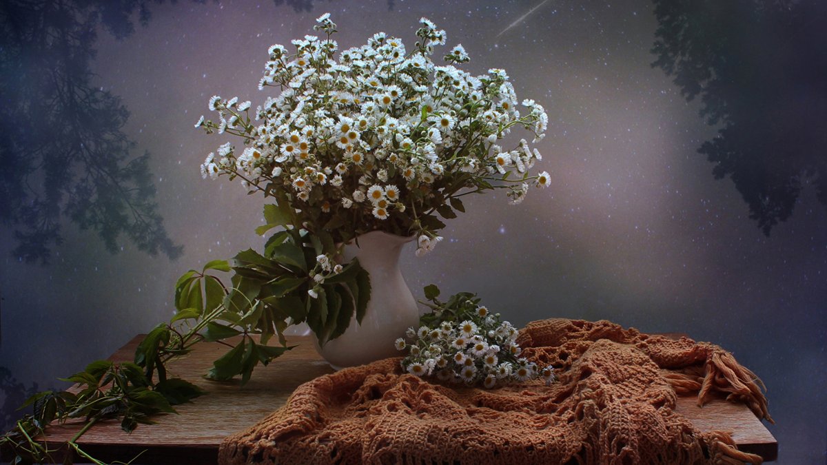 Добрый вечер красивые необычные