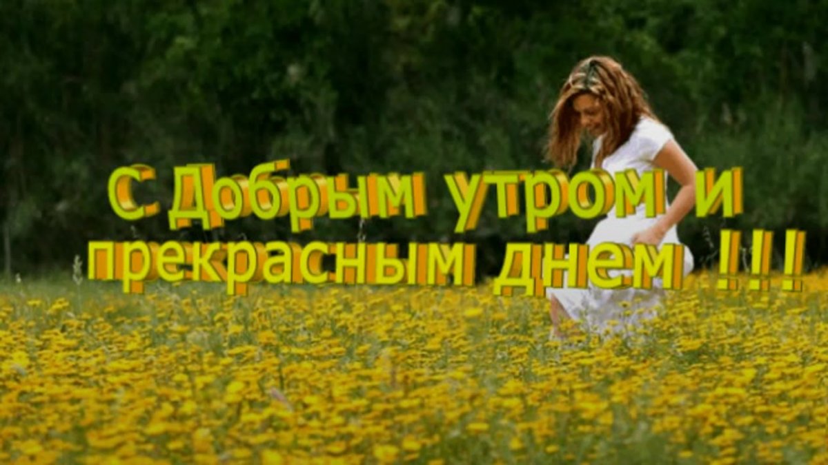 Открытки с добрым утром друзья