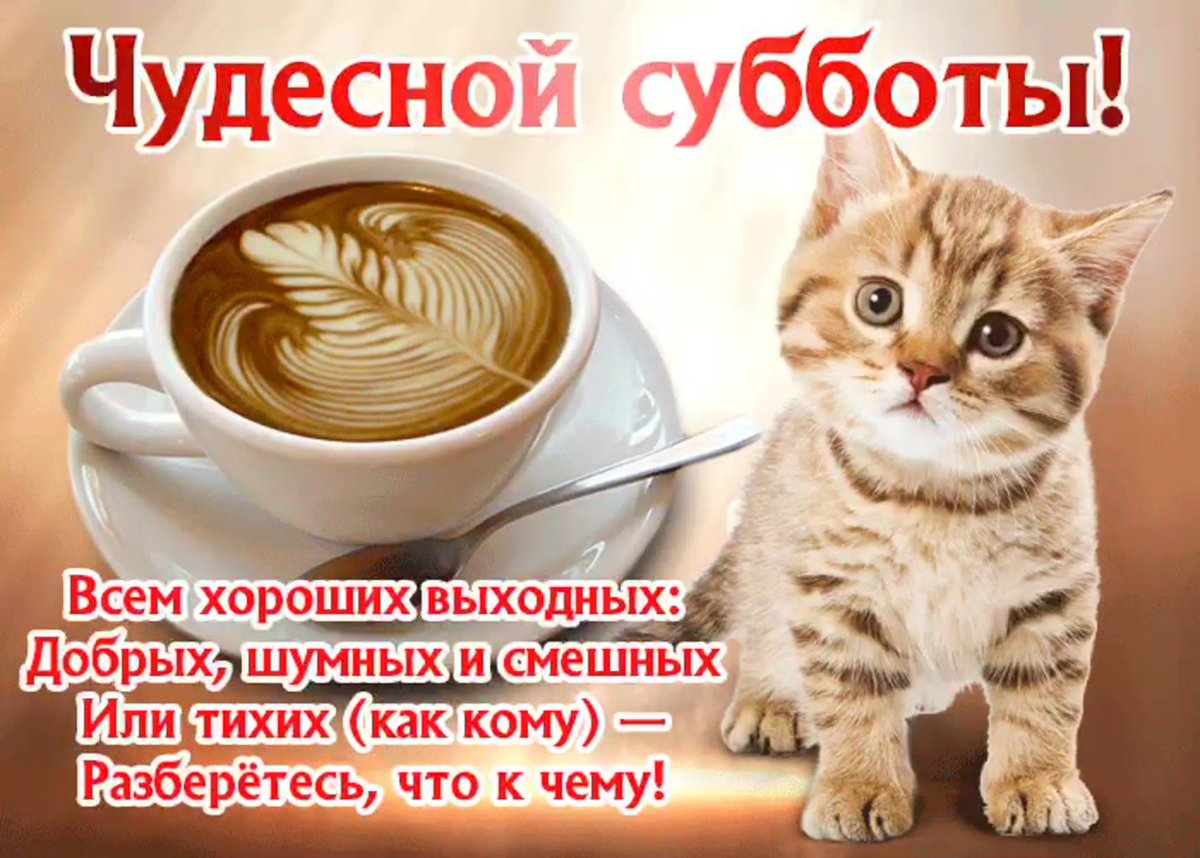 С добрым зимним субботним утром