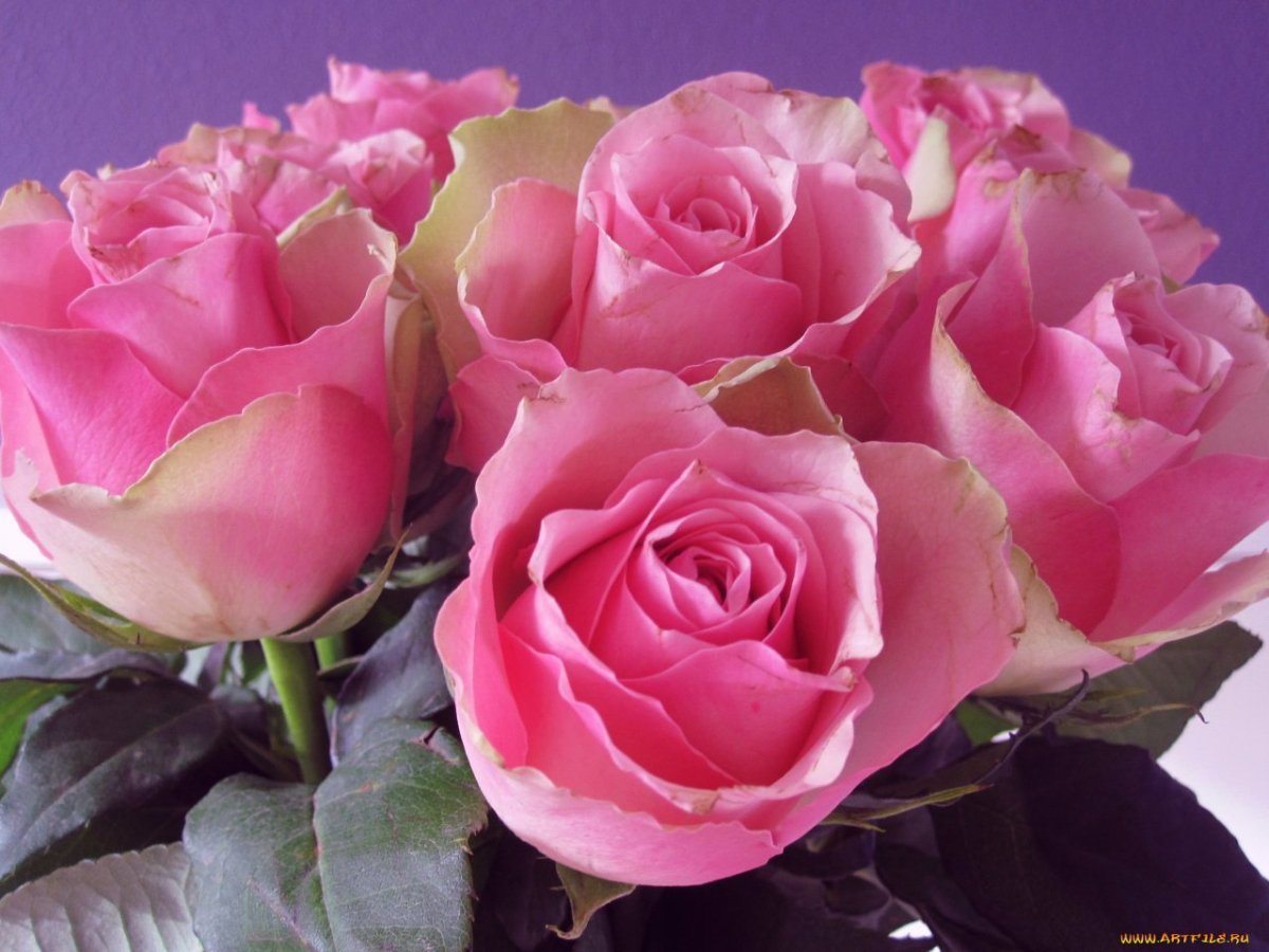 Поздравление внучке