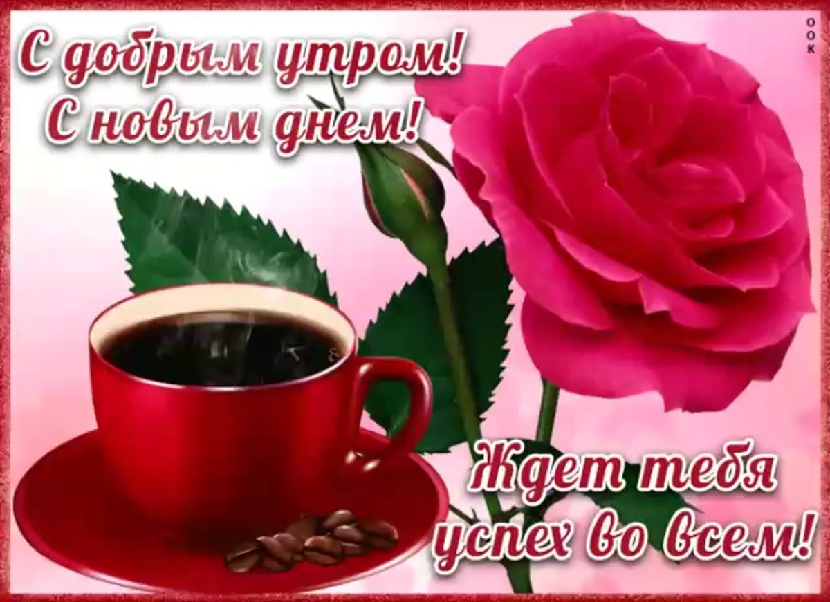 Цветы для любимой