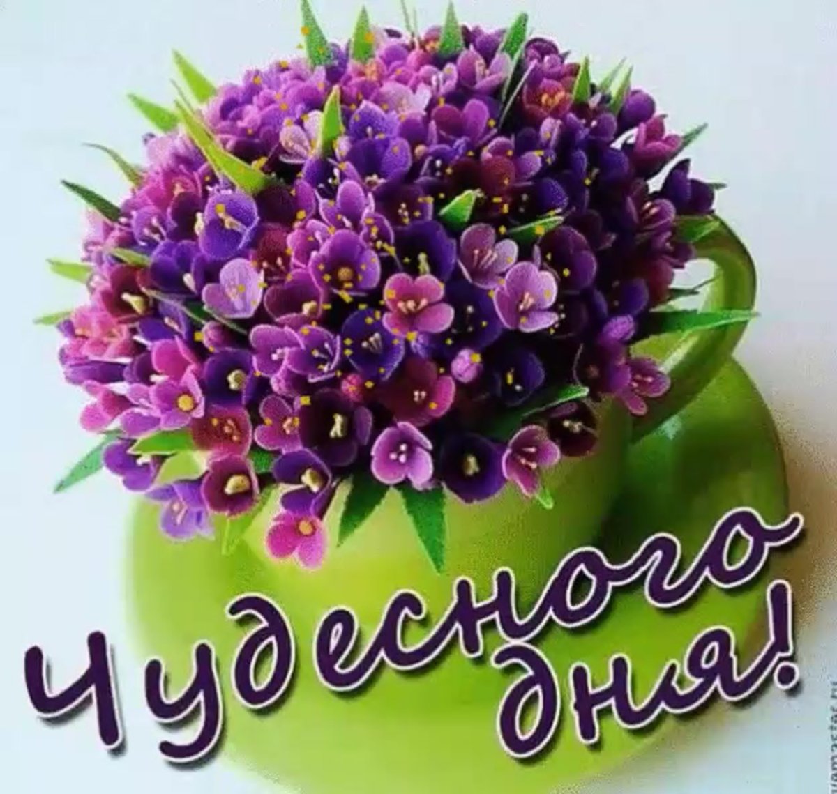 Привет Оксана