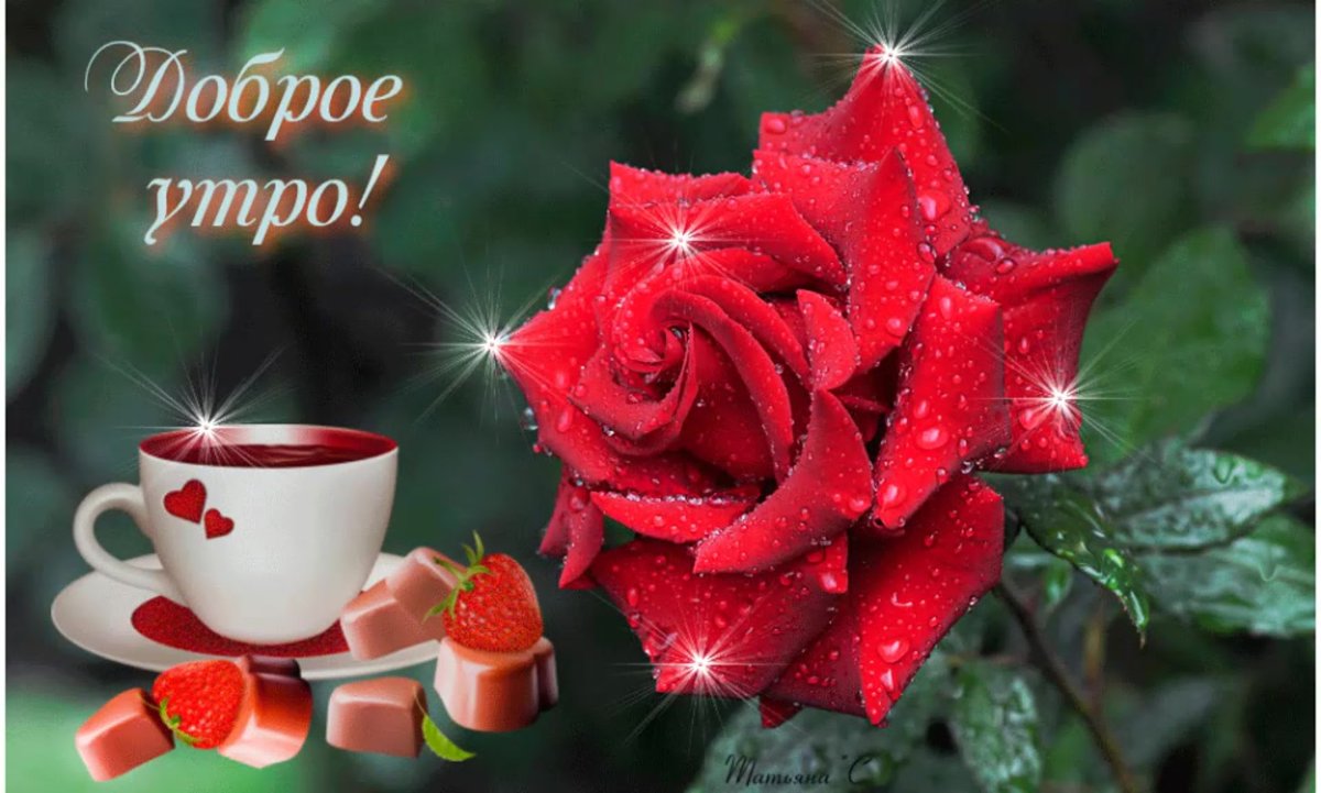 Доброе утро Сергей