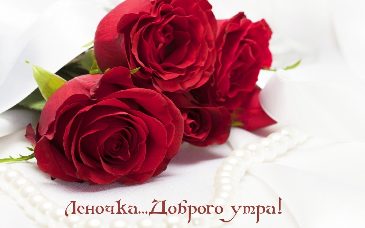 Доброе утро Лена