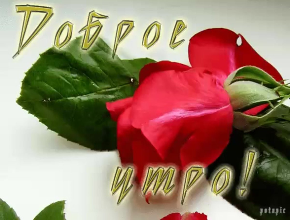 Доброе утро Марина