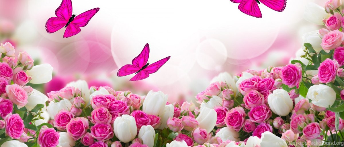 Обложка цветы