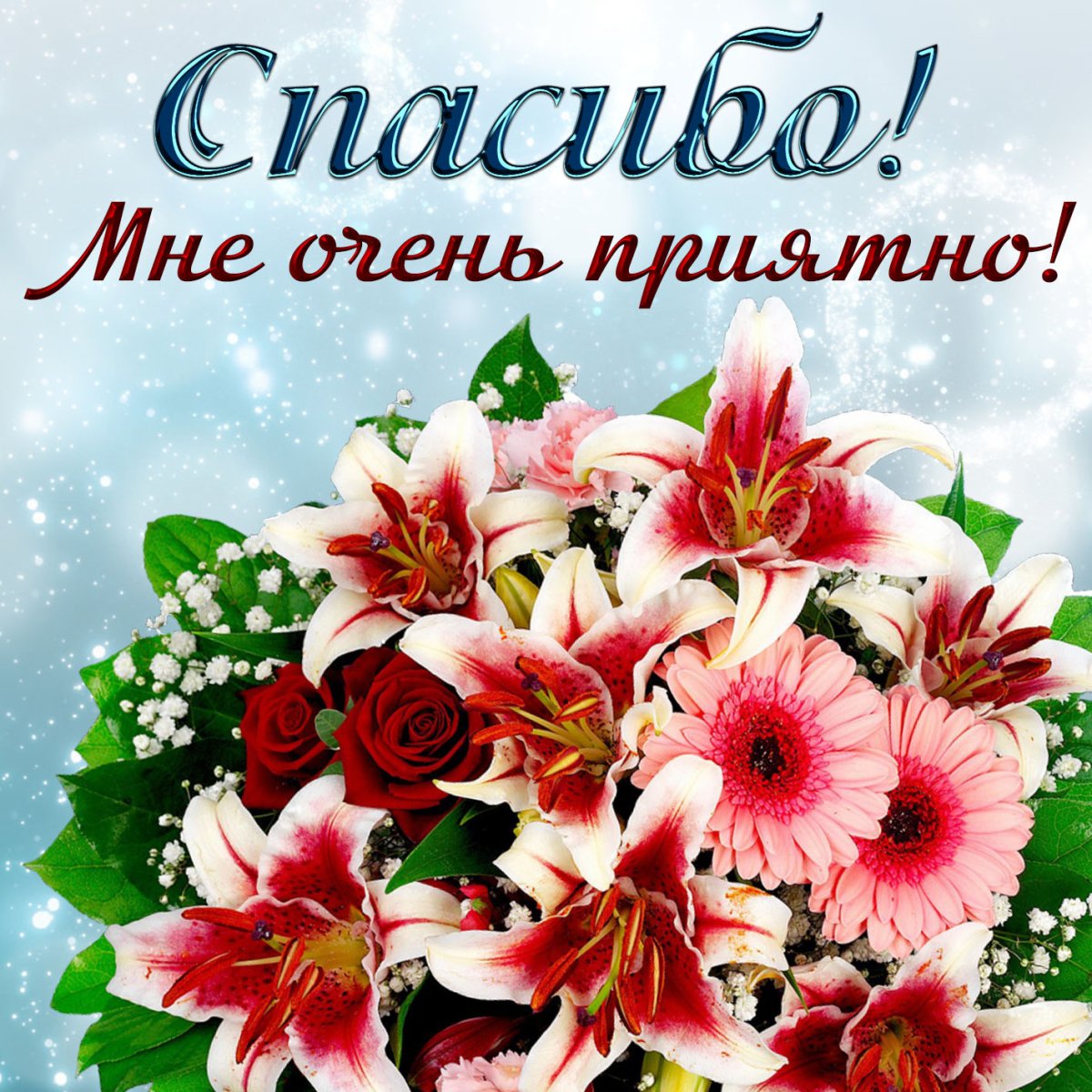 Спасибо за поздравления